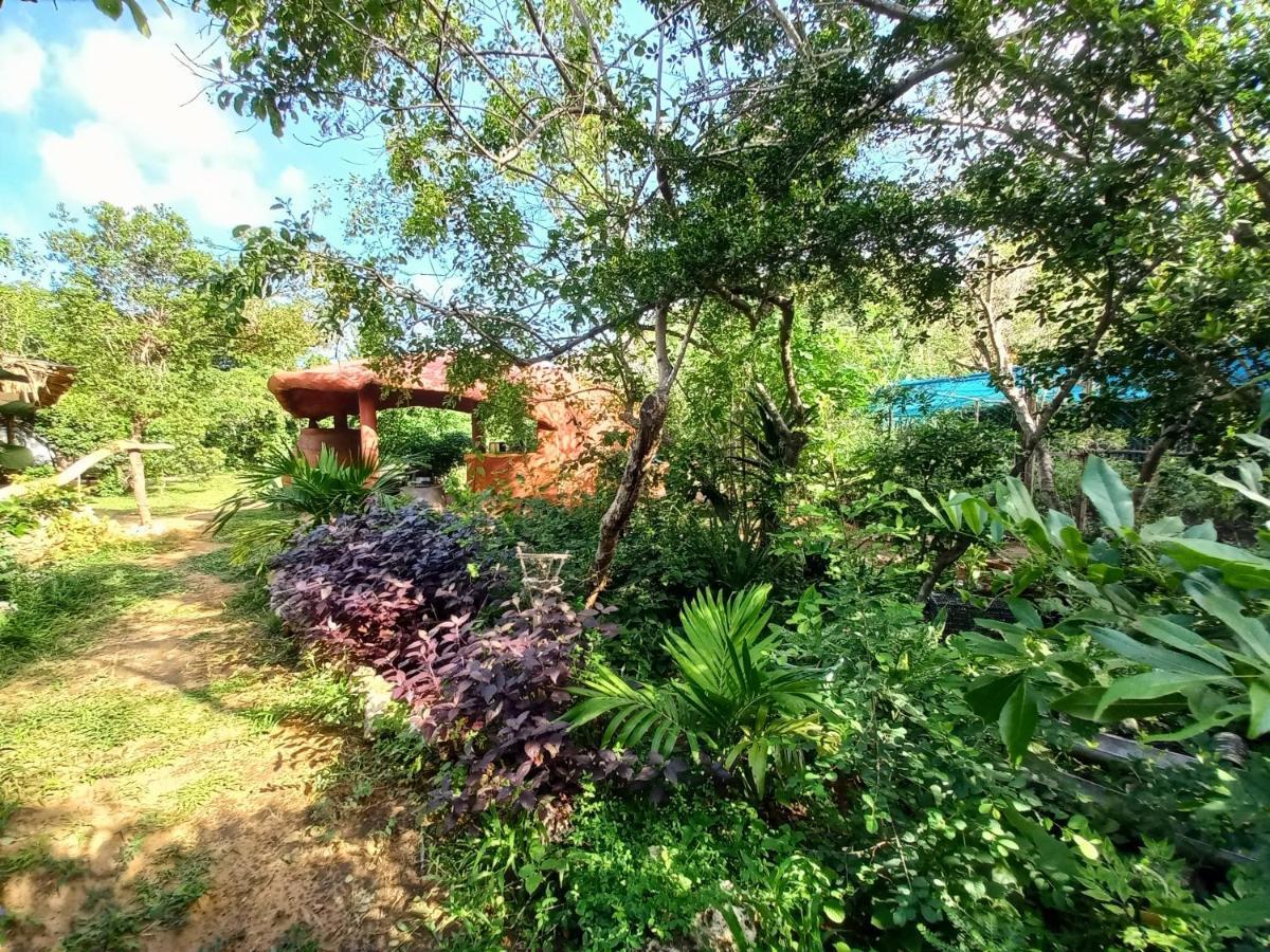 Watamu Beach Cottages B&B エクステリア 写真