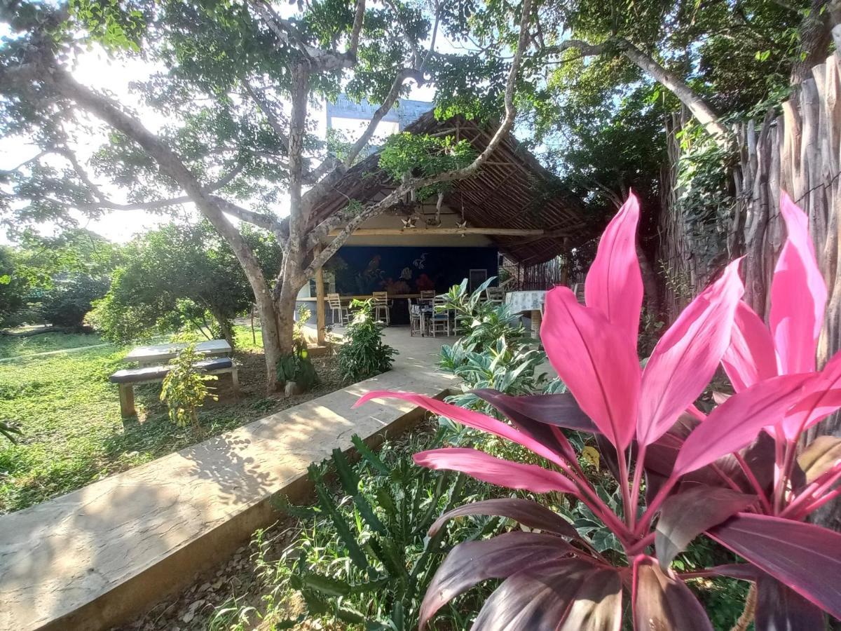 Watamu Beach Cottages B&B エクステリア 写真