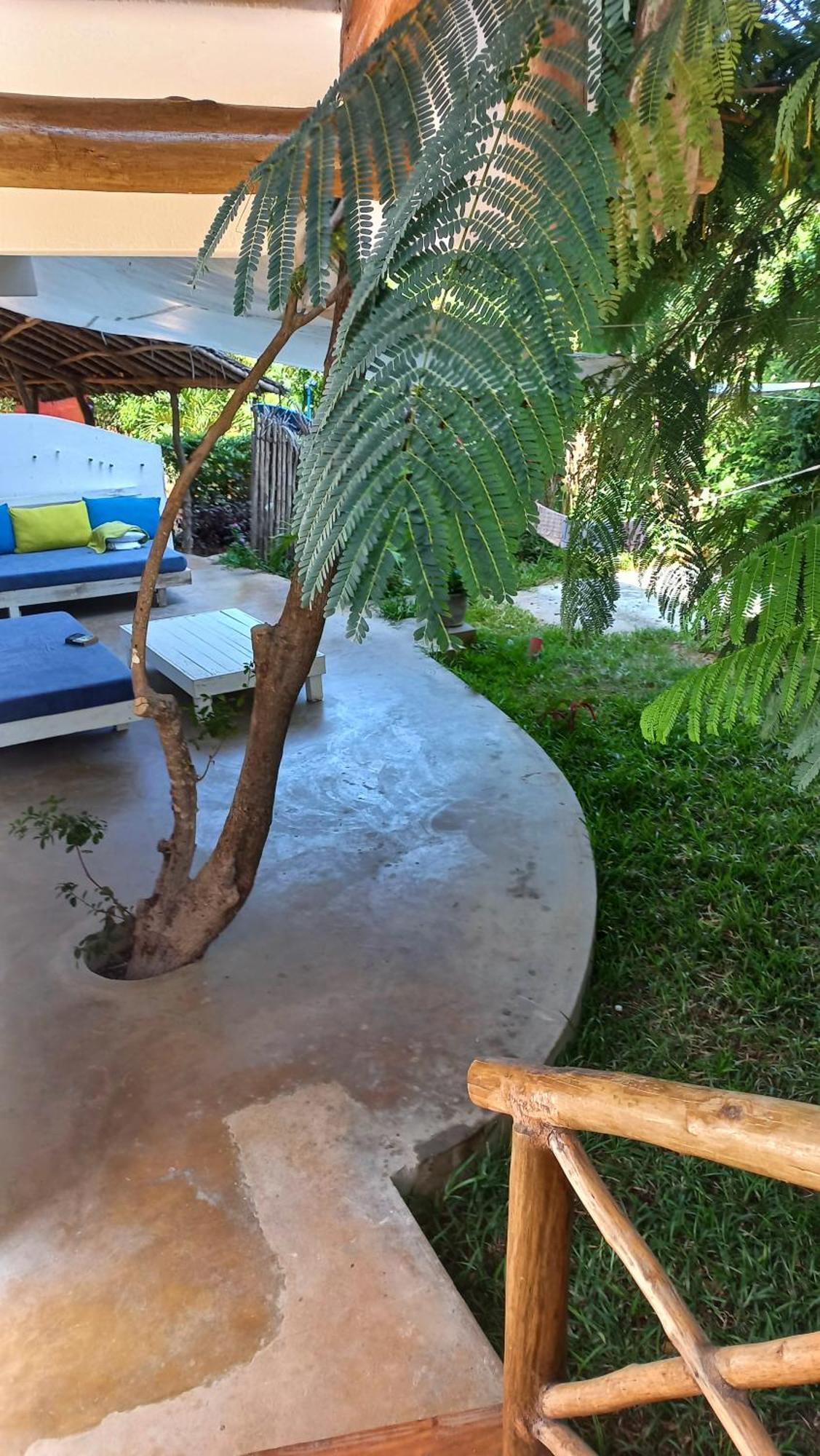 Watamu Beach Cottages B&B エクステリア 写真
