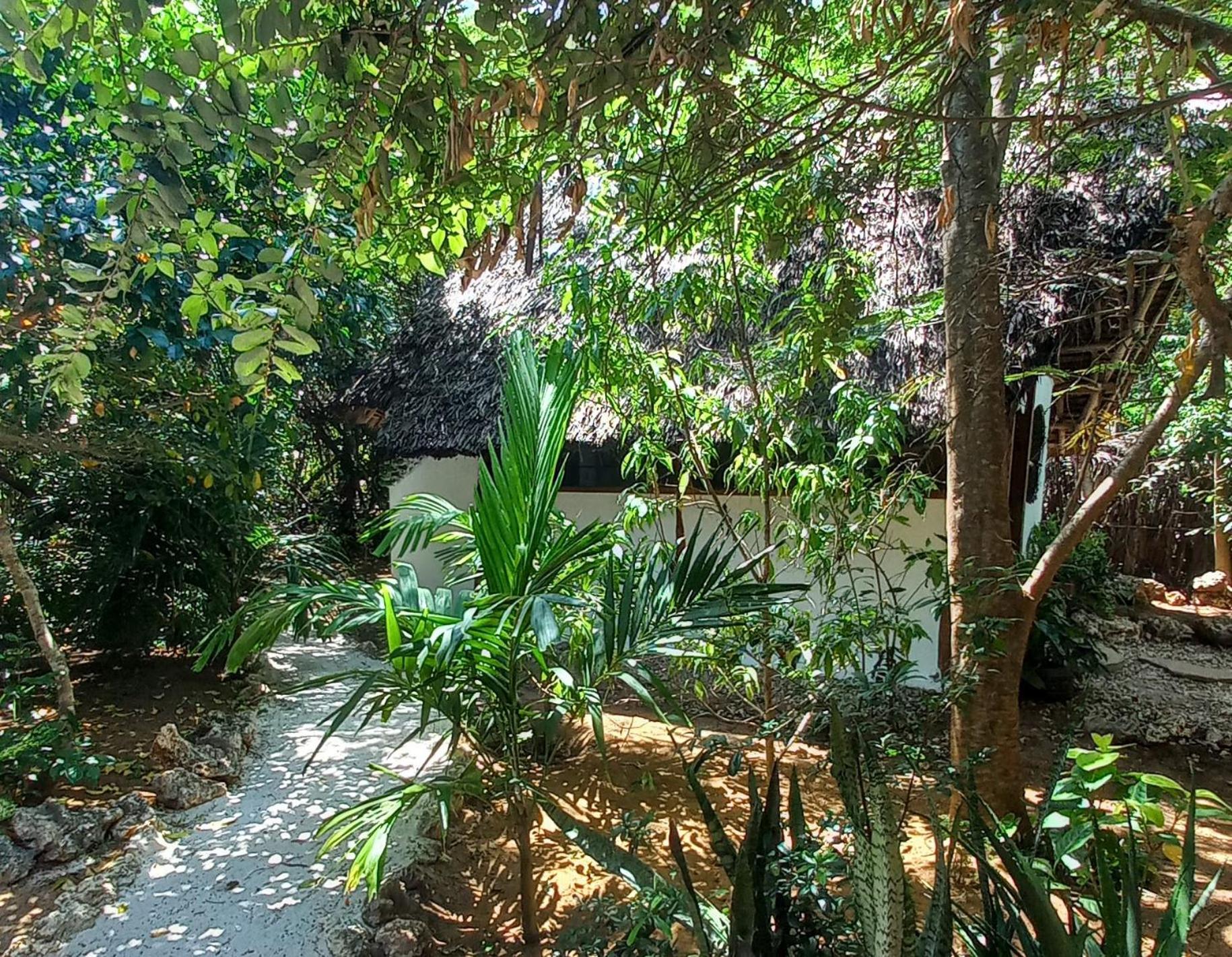 Watamu Beach Cottages B&B 部屋 写真